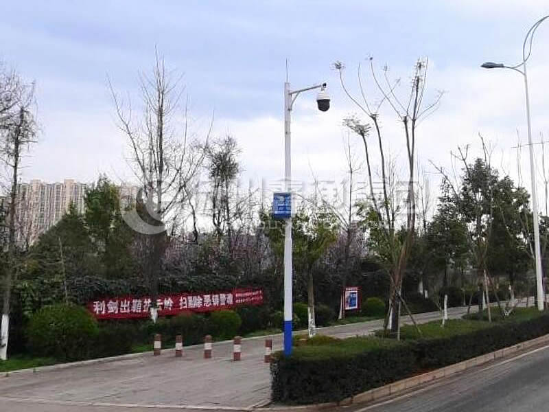 DJG-025，電子警察桿，治安監(jiān)控桿